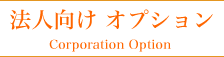 法人向け オプション